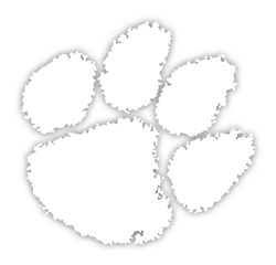 Tiger Tennis Camps